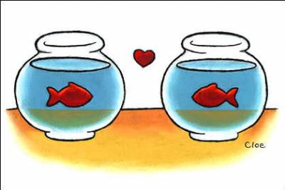 +++ Même les poissons!! +++