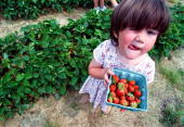 -->GoUrMaNdE ;) _._._._